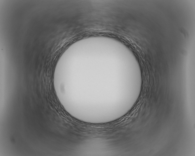 X0000113261157200909101244