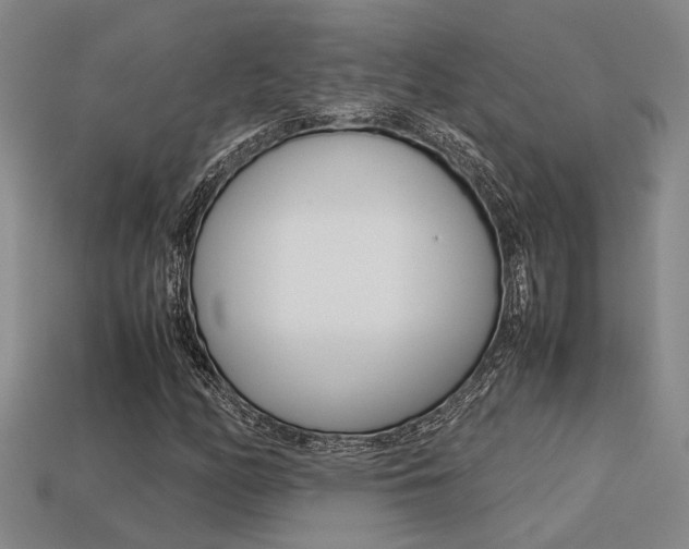 X0000113261158200909101244