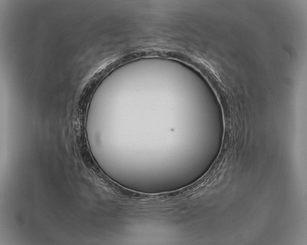 X0000113261159200909101244