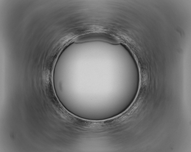 X0000113261161200909101244