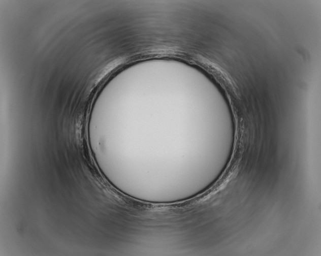 X0000113261162200909101244