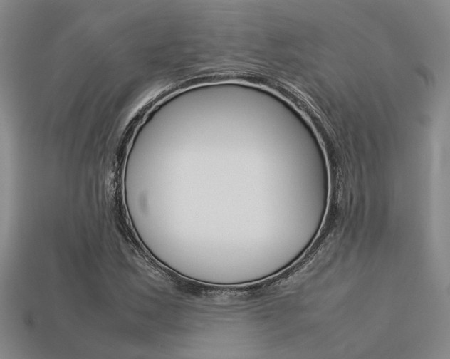 X0000113261163200909101244