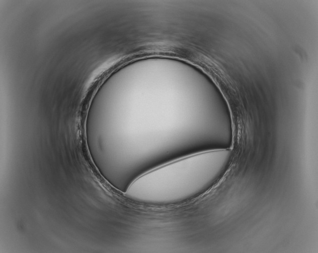 X0000113261164200909101243
