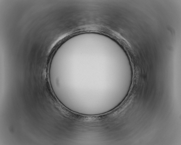 X0000113261166200909101243