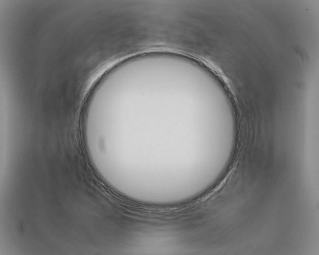 X0000113261167200909101243