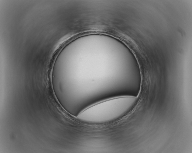 X0000113261168200909101243
