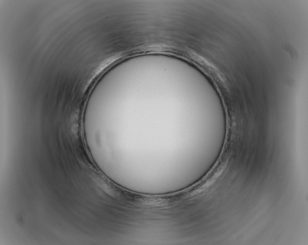 X0000113261170200909101243