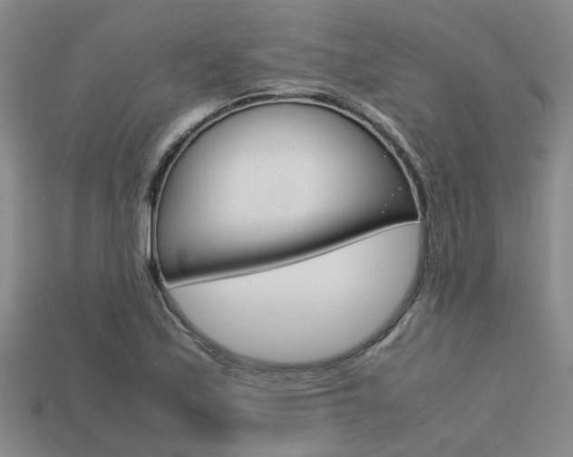 X0000113261171200909101243