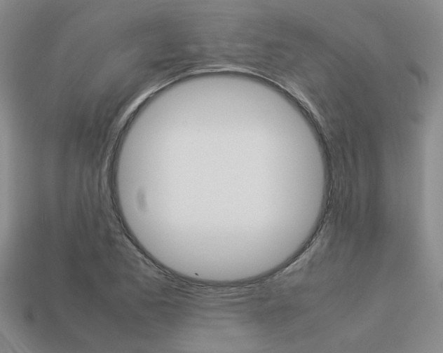 X0000113261173200909101243