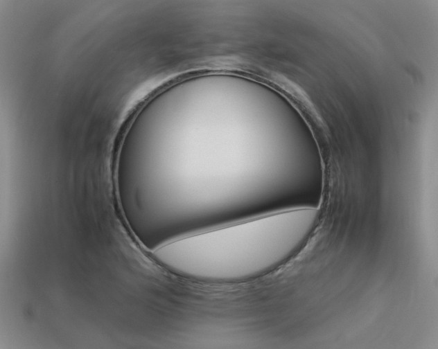 X0000113261176200909101243