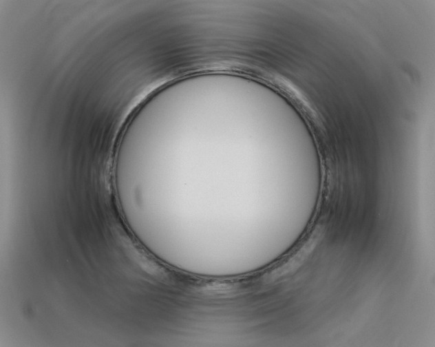 X0000113261178200909101243