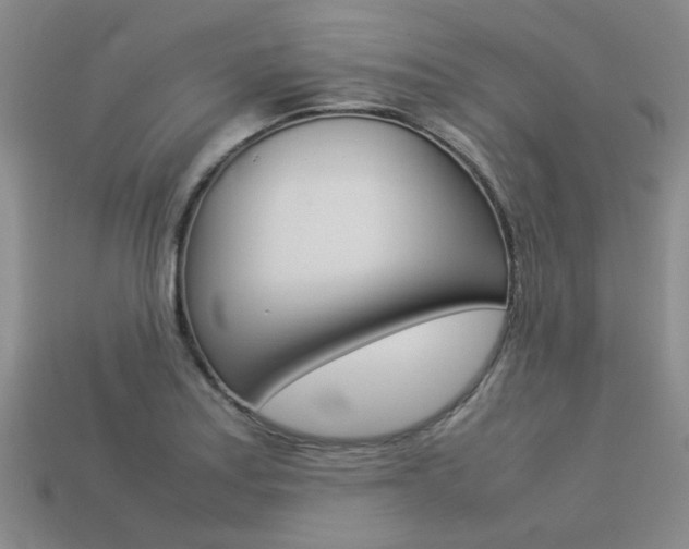 X0000113261179200909101243