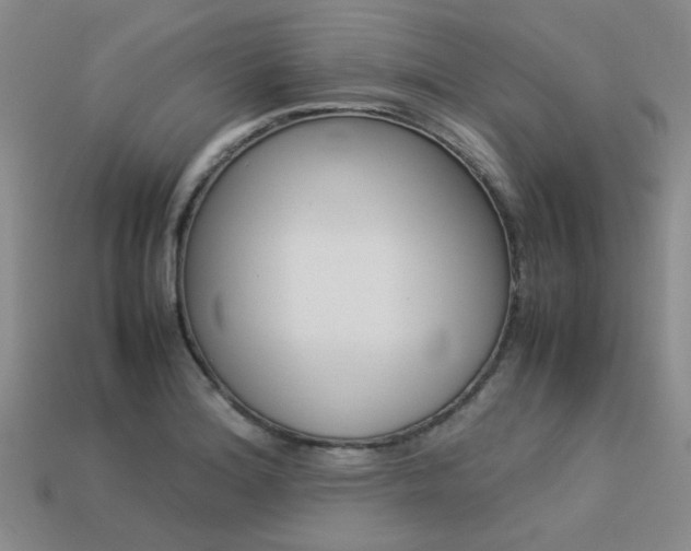X0000113261180200909101243