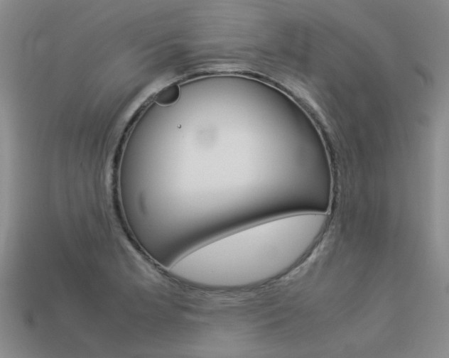 X0000113261181200909101243