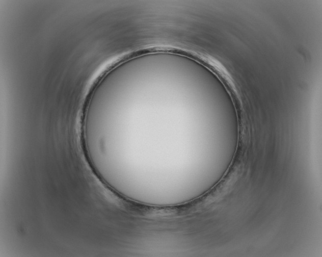 X0000113261183200909101243
