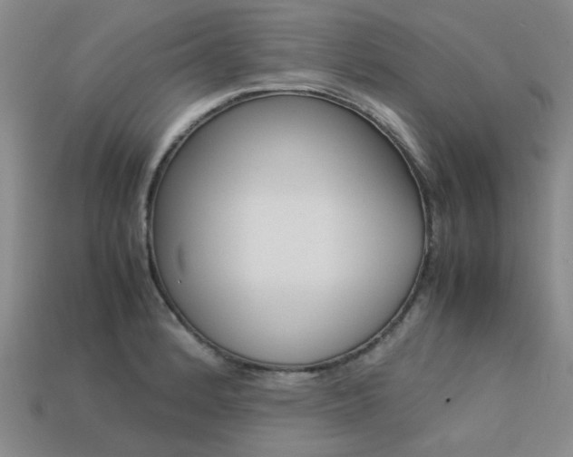 X0000113261184200909101243