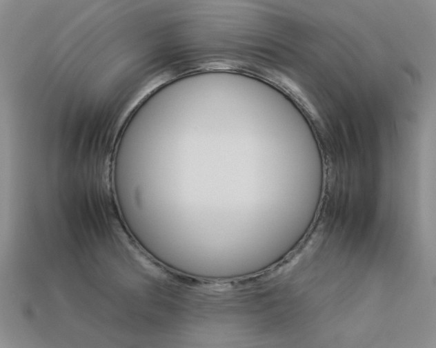 X0000113261186200909101243