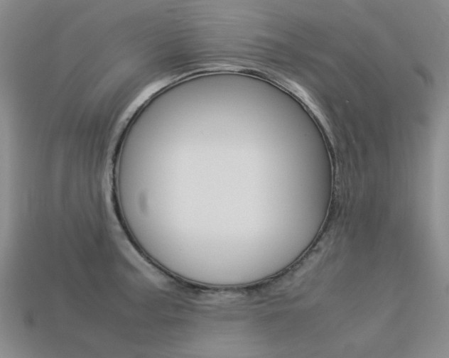 X0000113261187200909101243