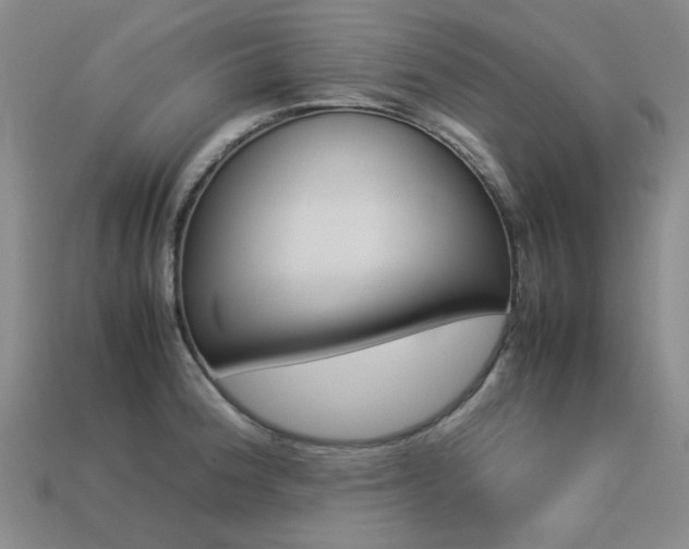 X0000113261188200909101243