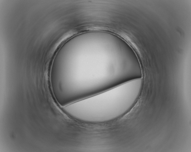 X0000113261189200909101243