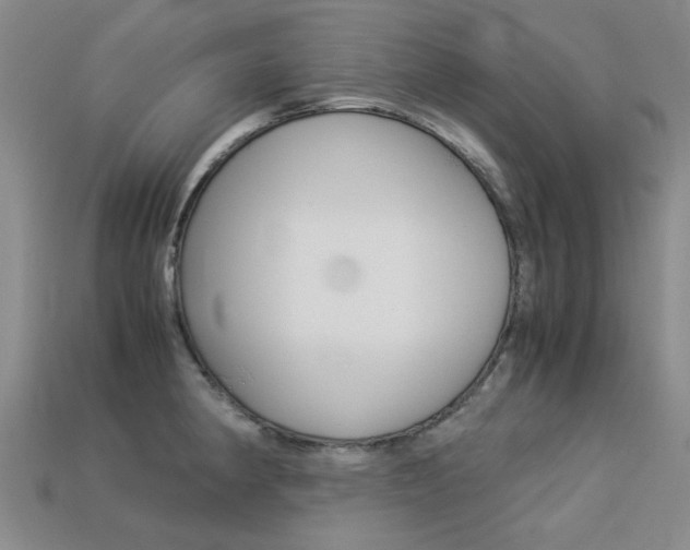 X0000113261190200909101243