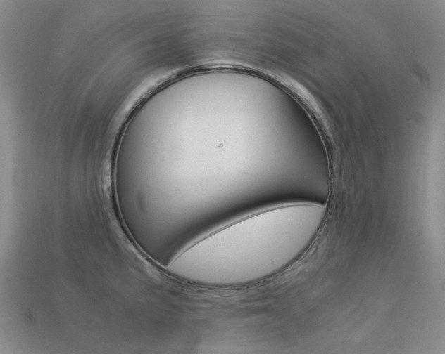 X0000113261191200909101243