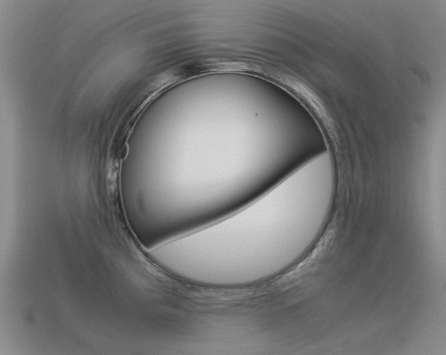X0000113261193200909101243