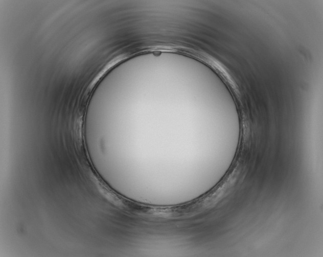 X0000113261194200909101243