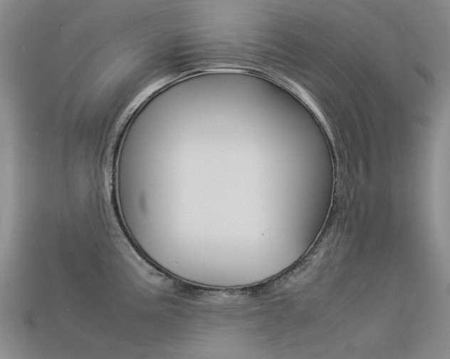 X0000113261195200909101243