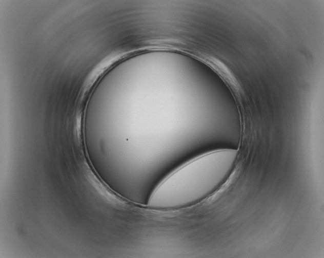 X0000113261196200909101243