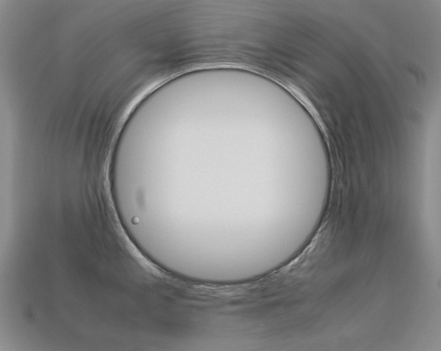 X0000113261197200909101243