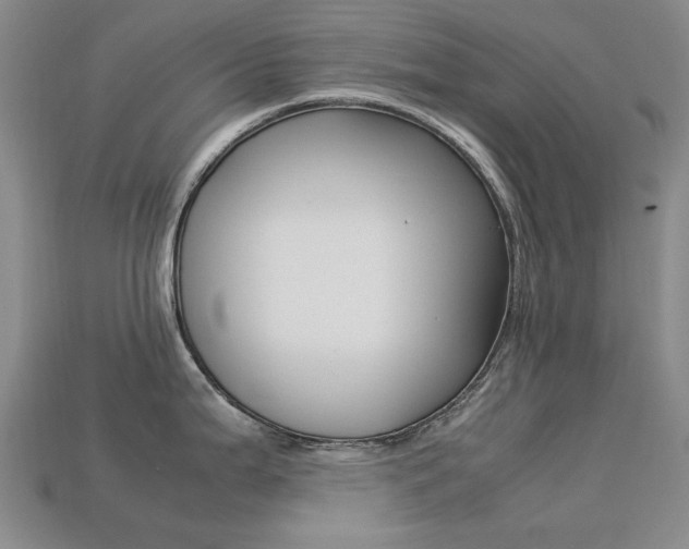 X0000113261199200909101243