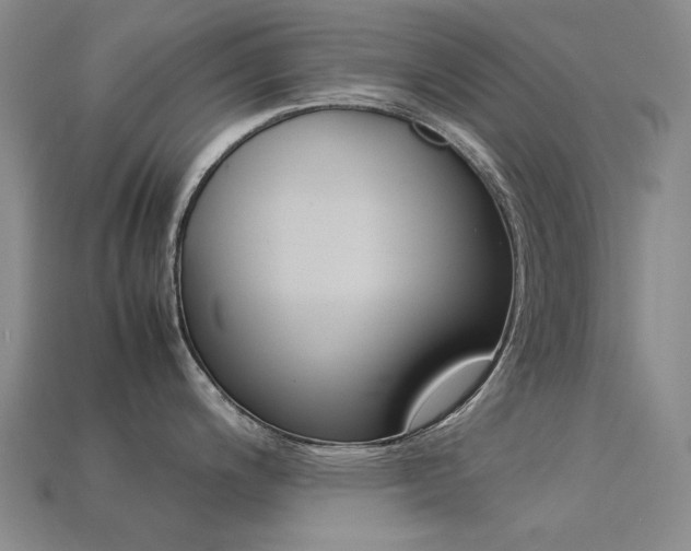 X0000113261200200909101243