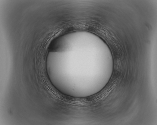X0000113261201200909101242