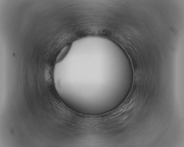 X0000113261202200909101242