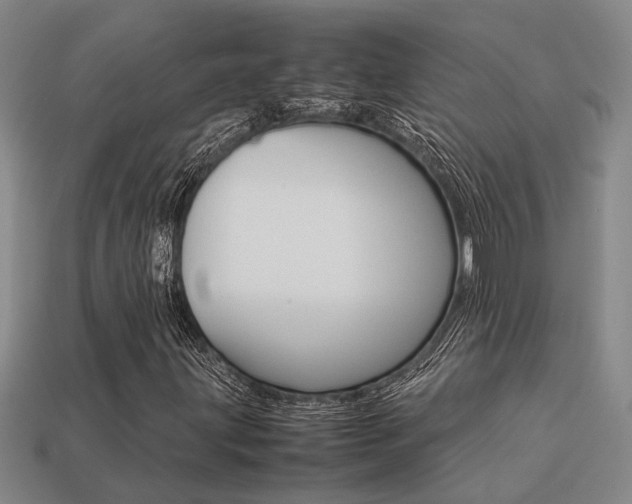X0000113261203200909101242