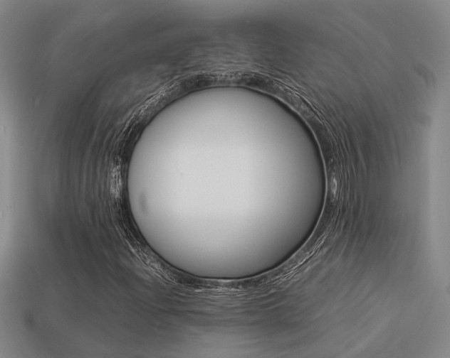 X0000113261204200909101242