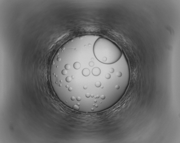 X0000113261205200909101242