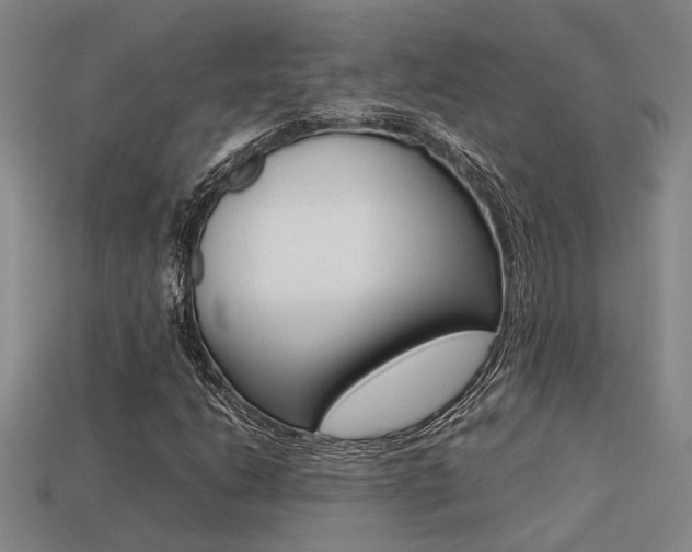 X0000113261206200909101242