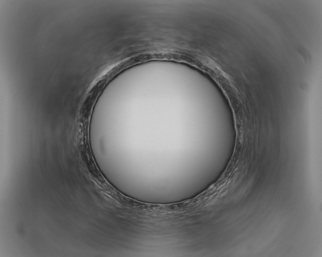 X0000113261208200909101243