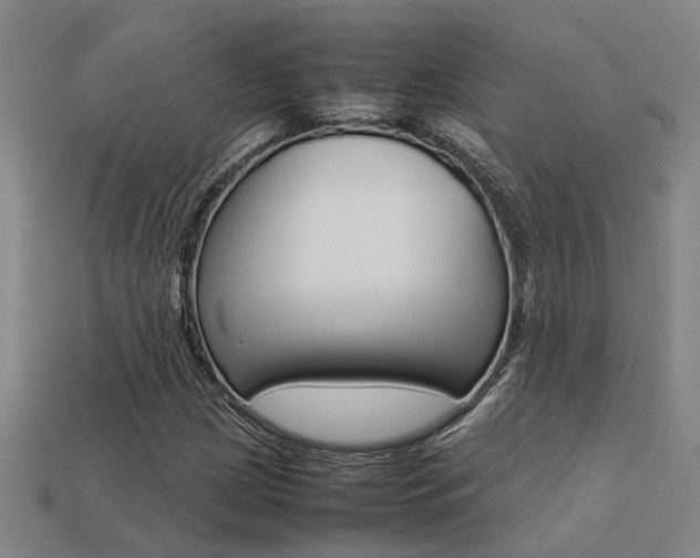 X0000113261209200909101243