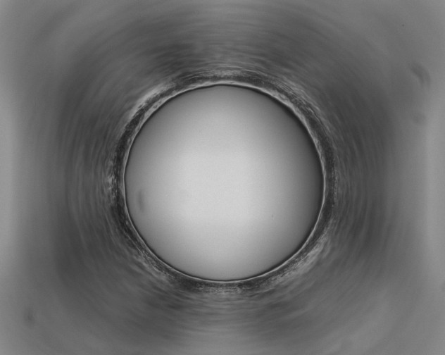 X0000113261210200909101243