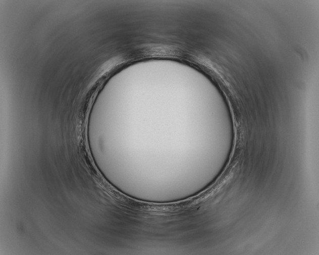 X0000113261211200909101243