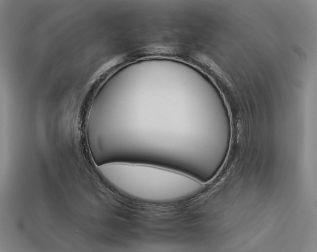X0000113261213200909101243
