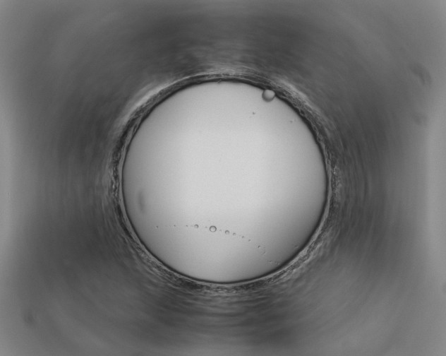 X0000113261215200909101243