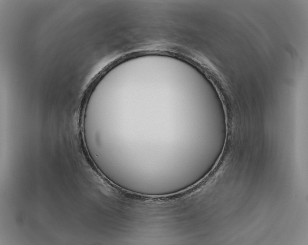 X0000113261216200909101243