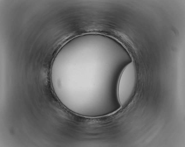 X0000113261217200909101243