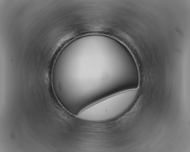 X0000113261218200909101243