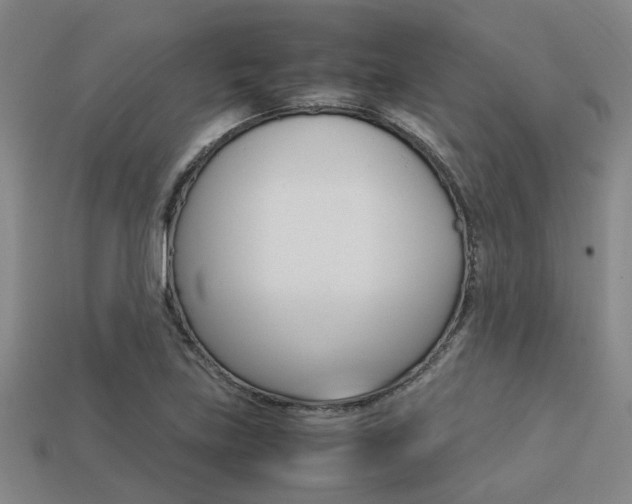 X0000113261219200909101243