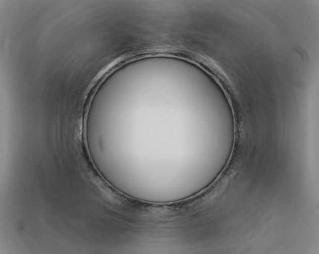 X0000113261220200909101243